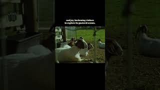 Experience the only state park in Ohio dedicated to agriculture