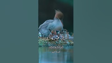 سورة مريم الشيخ عبدالباسط عبدالصمد