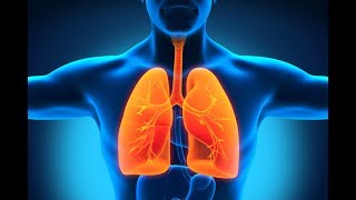 ميديكا - الجهاز التنفسي : عملية التنفس