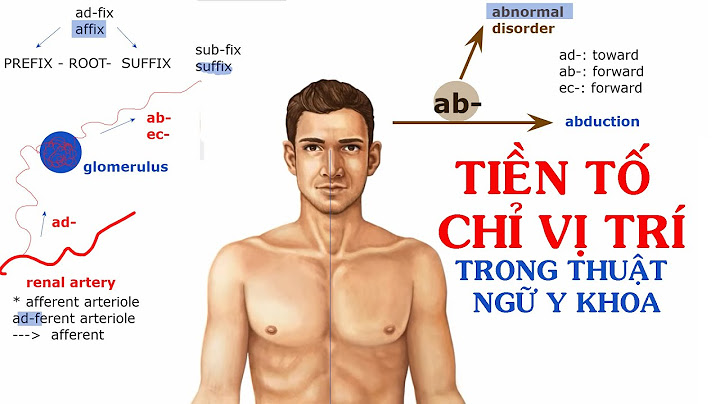 Chỉ định y khoa tiếng anh là gì