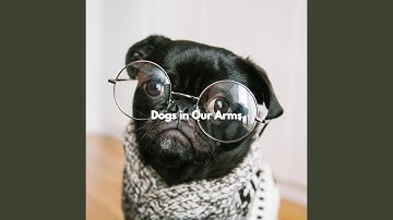 Pulsating Ambience for Melodic Agenda