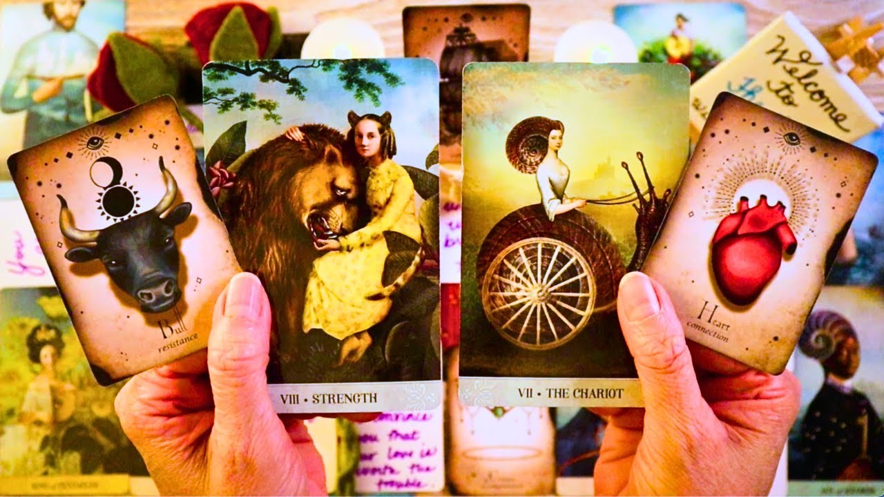 THE PERSON YOU’RE WAITING ON IS ENDING NO CONTACT!! 😲❤️ LOVE TAROT