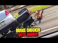 Brake Check FAILS! | Insurance Scam & More!