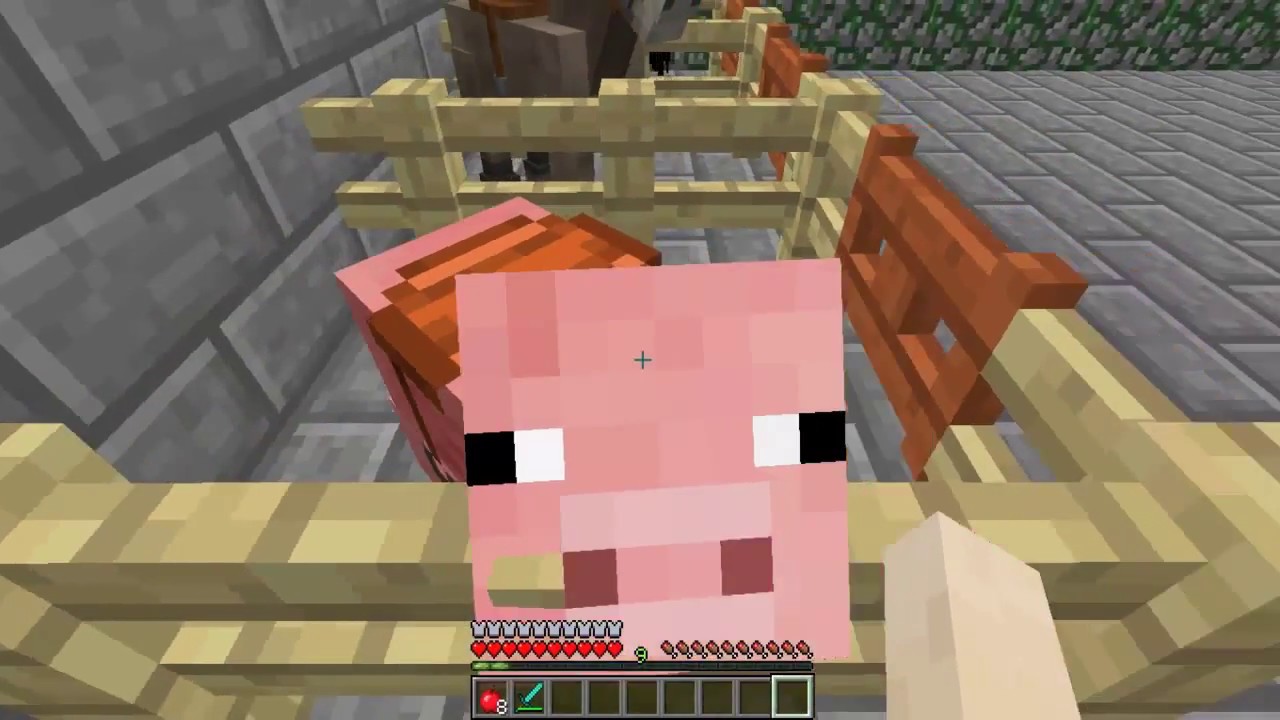 Como Ponerle Una Silla De Montar A Un Cerdo En Minecraft Youtube