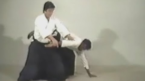 Akido - 08 - Shomenuchi Sankyo   Omote