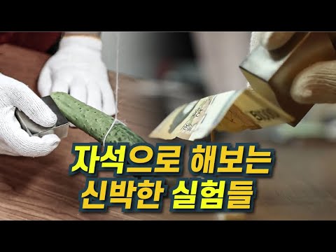 [과학다반사] 신비한 자석실험 / YTN 사이언스