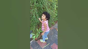 Eyy banane oru poo tharamo #cutebaby #eyybanane #vazhamovie #youtubeshorts
