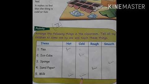Ecps class 1 EVS chapter 3 My senses revision