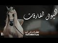 شيله بنت شيخ اداء متعب الخيل 2025 شيله الخيول الفارقات متعب الخيل حماسيه طرب رقص جديد 2025 