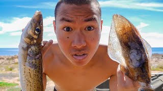 How To Get Better At Finding Fish! (Spearfishing Competitions)