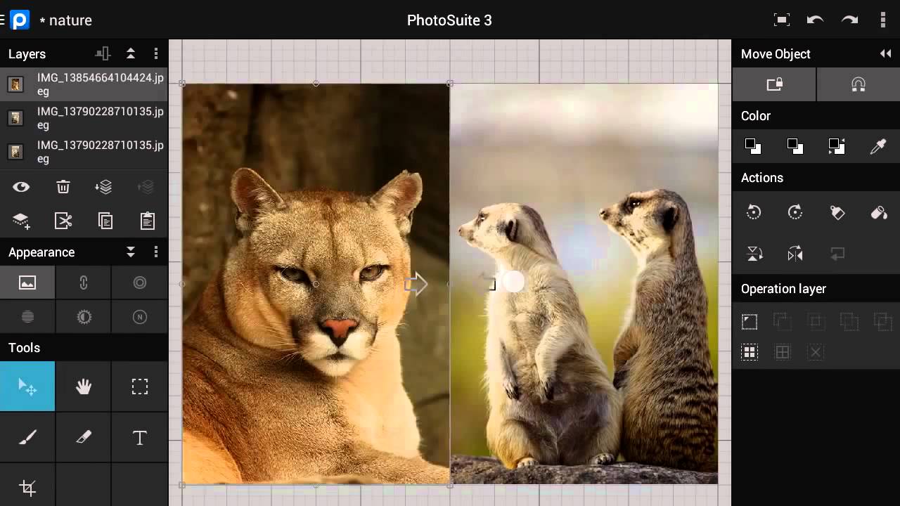 photosuite 3 free download photosuite 3 free download