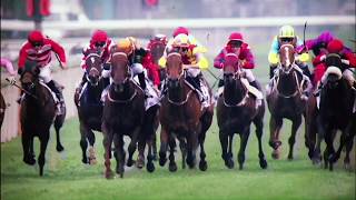 Horse racing | 2017 hong kong champions ...