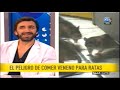Intoxicación con Raticidas - Prevención en Niños