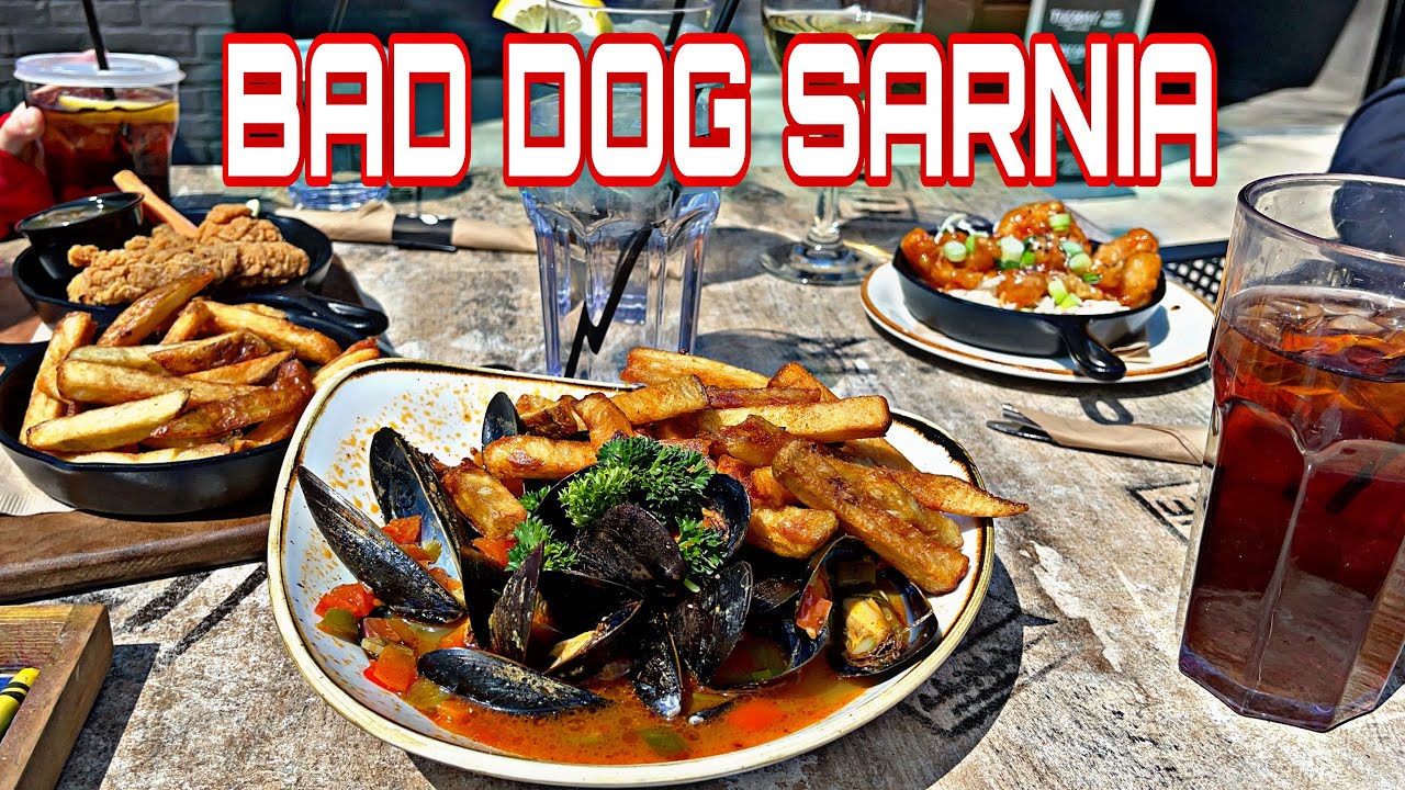 LUNCH AT BAD DOG SARNIA RESTAURANT sarnia baddogsarnia YouTube