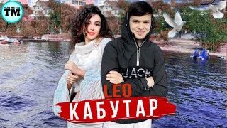 ЛЕО - КАБУТАР LEO - KABUTAR 2023 ❤