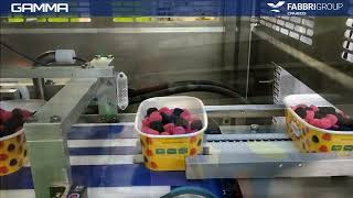 Download Lagu Candies - Map - Gamma Complete line CAVECO MP3