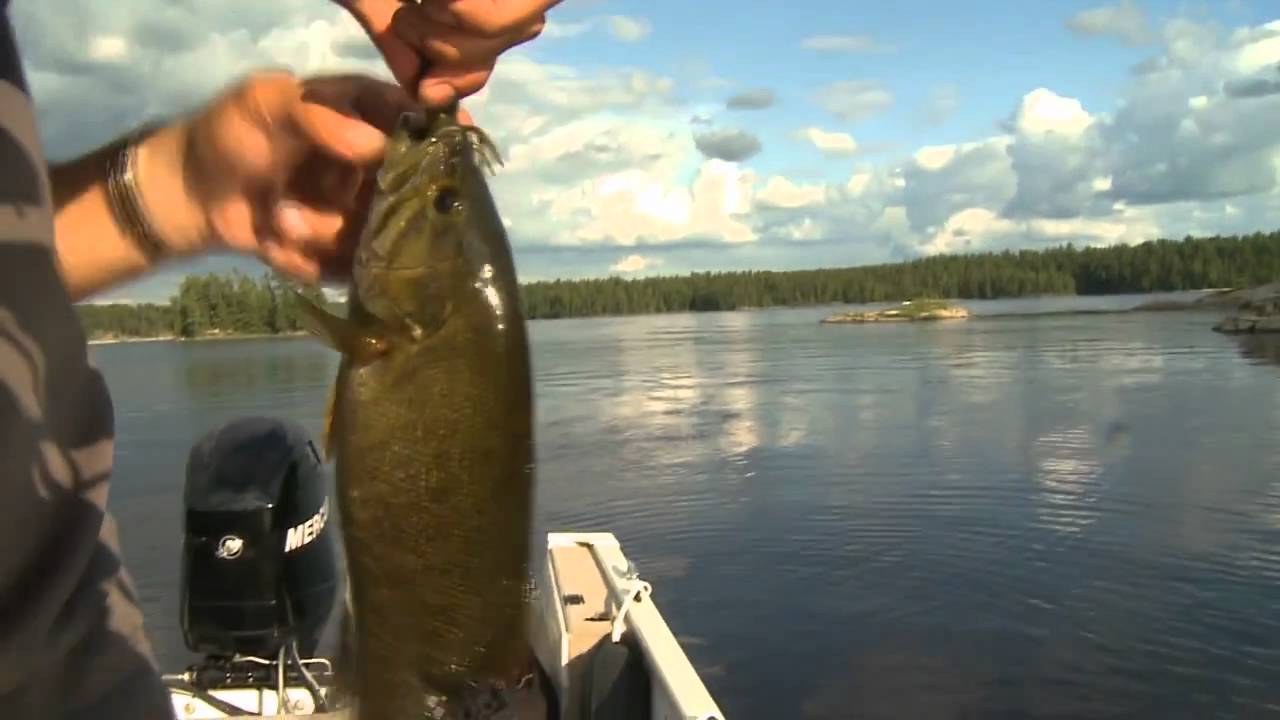 FISH TV French River 1 - YouTube