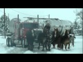 Horses Save Milk Truck Stuck In Snow