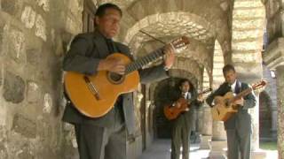 TRIO AYACUCHO / Huerfano pajarillo (wayno) chords