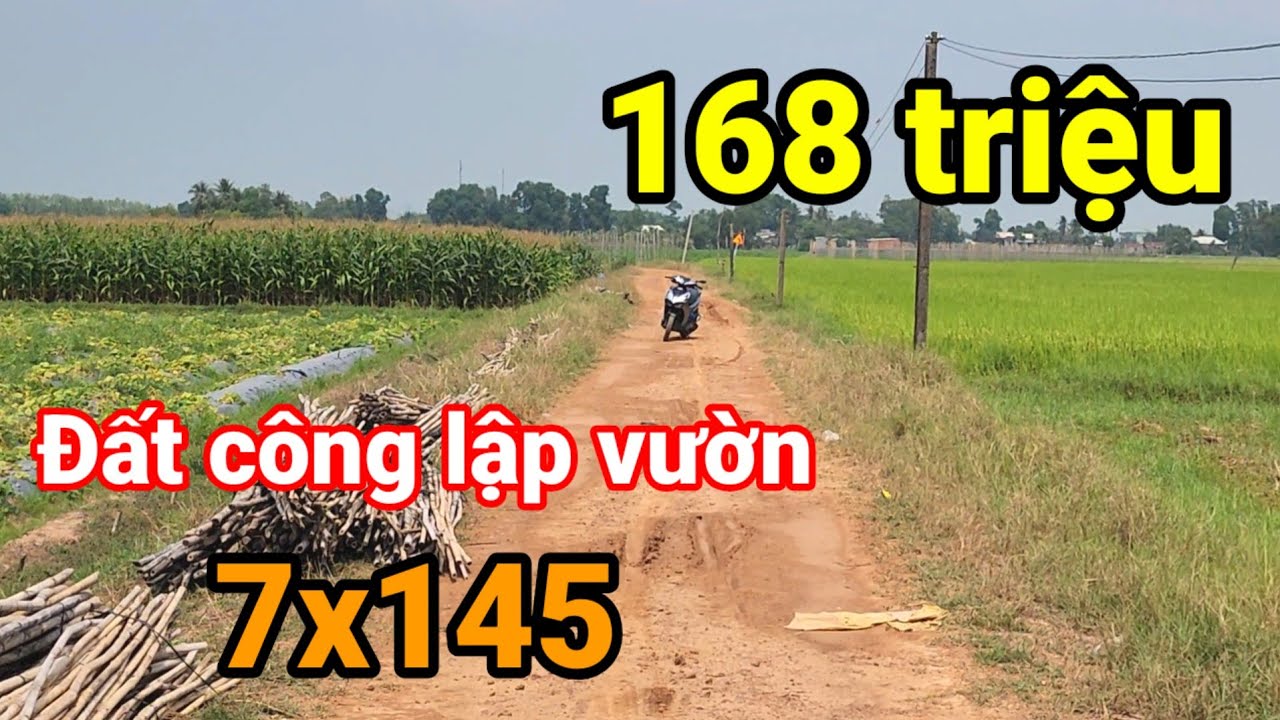 Bán 1 công đất giá rẻ chỉ 168 triệu sổ riêng | Hoàng Minh BĐS