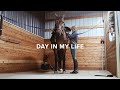 day in my life: riding horses & working as a vet assistant