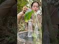sow your survival skills in the jungle #outdoors #survival #shorts