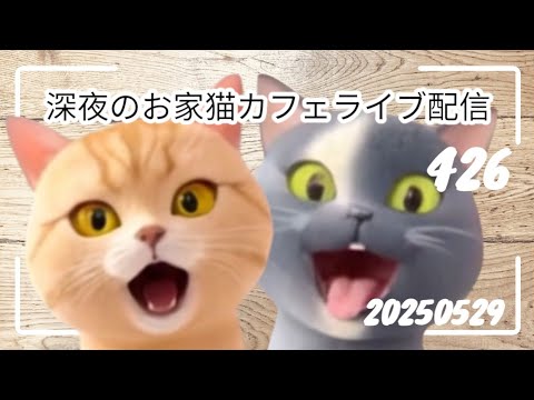 深夜のお家猫カフェライブ配信426
