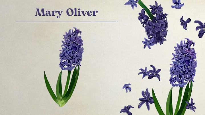 Caroline Spence - Mary Oliver (Lyric Video)