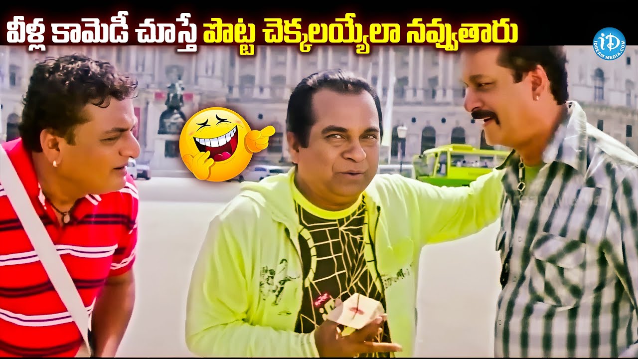 బ్రహ్మి కామెడీ చూస్తే పడి పడి నవ్వుతారు