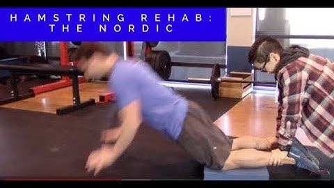 E23/ Hamstring Exercises - Nordic Hamstring Exercise