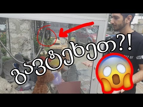 სათამაშოების აპარატის ჩელენჯი | Vlog #1 [ დავჰაკეთ?! ]