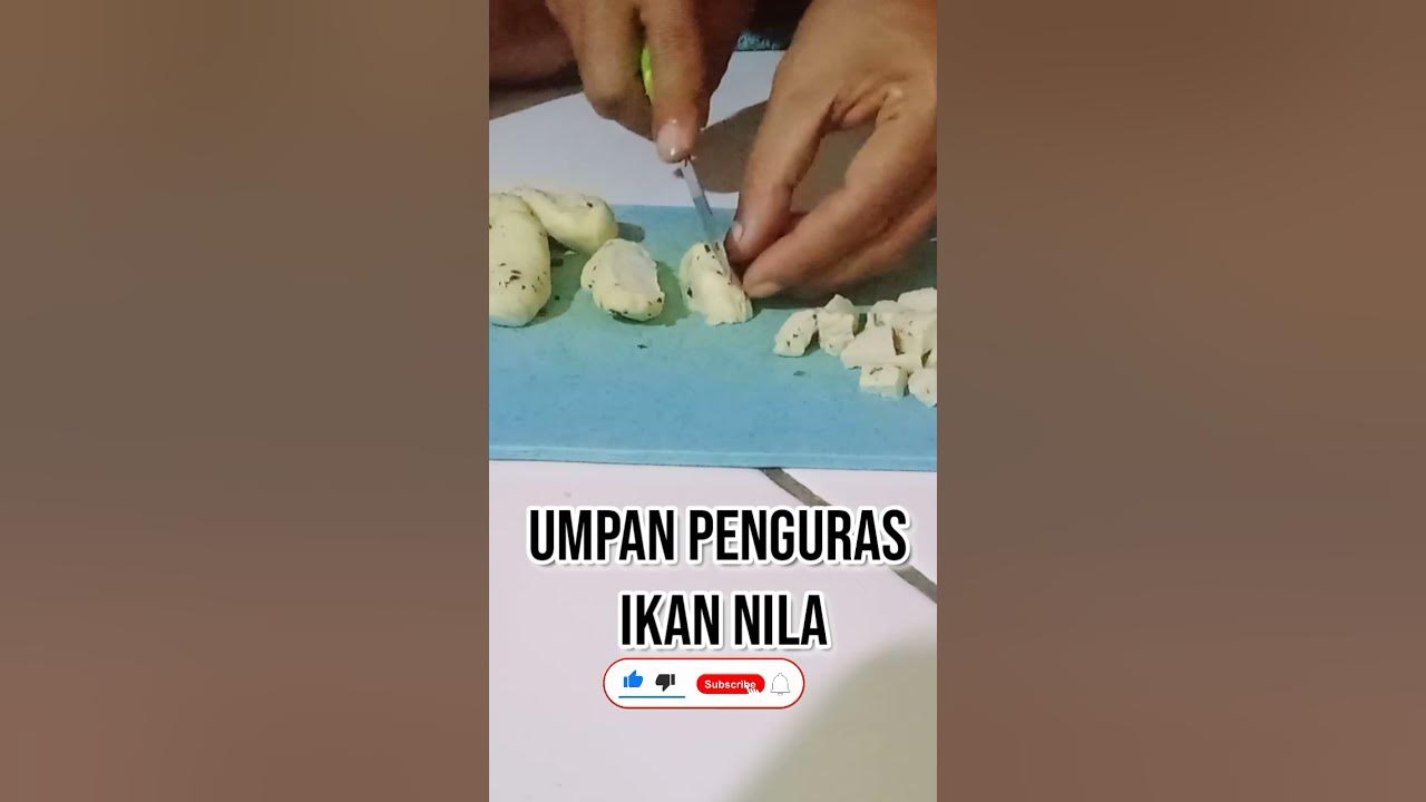 UMPAN PENGURAS IKAN NILA PALING AMPUH DAN PRAKTIS! #Umpanikannila #short #shorts UMPAN PENGURAS IKAN NILA PALING AMPUH DAN PRAKTIS! #Umpanikannila #short #shorts