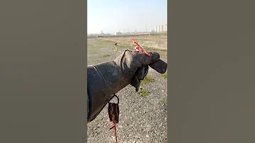 Тарзи ром кардани укоб. Сокол балобан