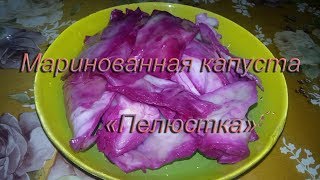 Домашняя маринованная капуста пелюстка Домашняя маринованная капуста пелюстка