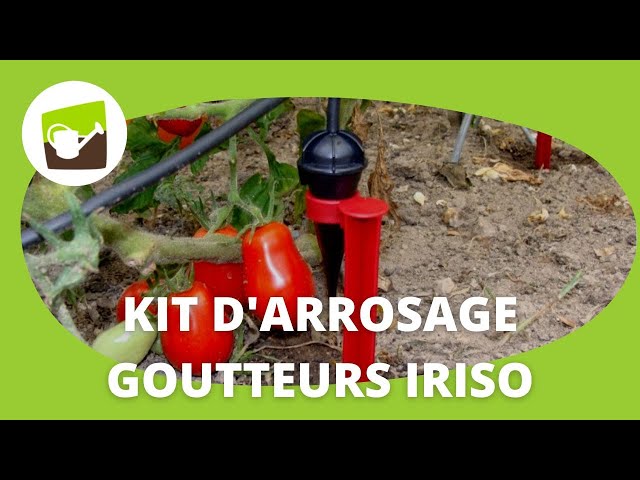 Kit Arrosage 20 Goutte a Goutte Iriso pour Végétaux et Potager