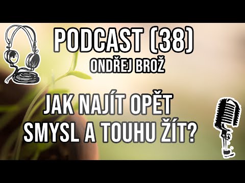 Video: Jak Najít Organizaci