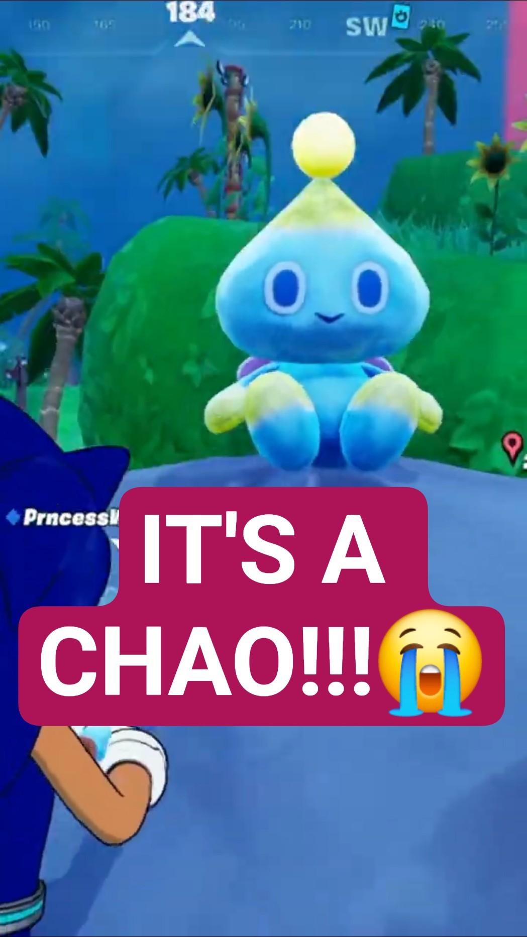 CHAOFANH FOUND A CHAO 💀💙 #shorts - YouTube