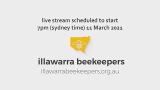 How to Do a Brood Inspection for Disease + Q&A