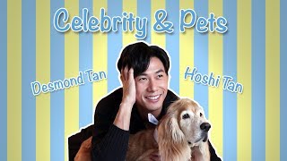 Celebrity & Pets Series: Desmond Tan & Hoshi (Ep 10)