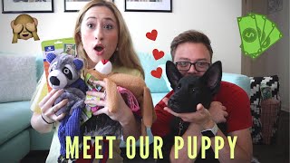 Buying Our Dog EVERYTHING He Touches! | MEET OUR PUPPY | New Family Member! | Perfect Knot