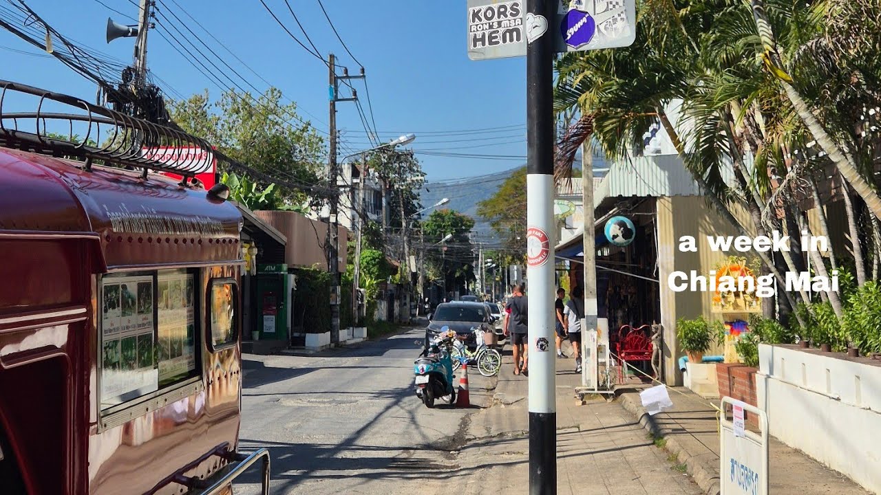 치앙마이vlog ep.1 가족과 함께한 일주일간의 휴가 🥥🌴