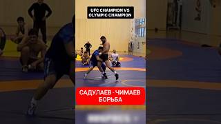 Реальная схватка Хамзата Чимаева и Абдулрашида Садулаева#ufc #mma #khamzatchimaev