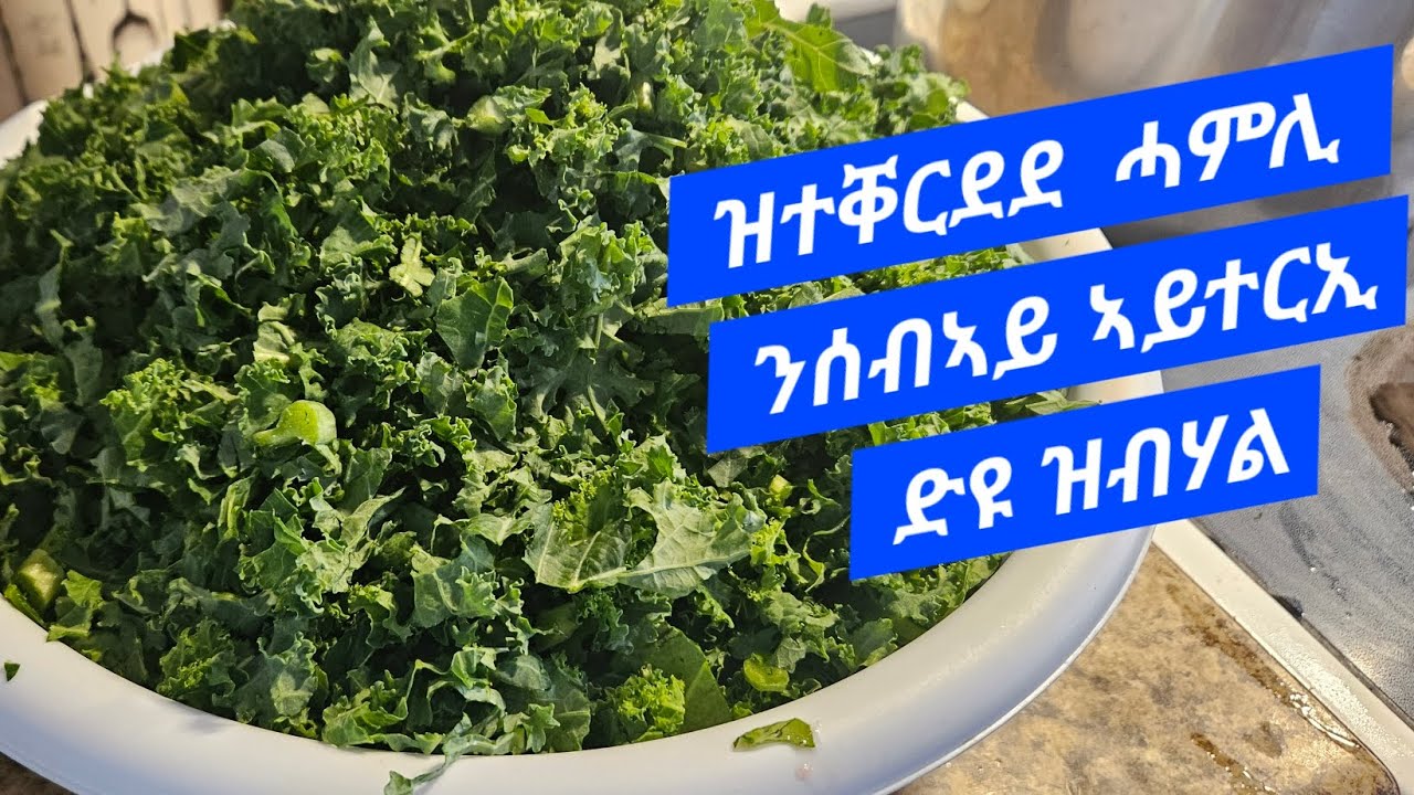 ናይኣድሪ ሓምሊ | Nay Adri Hamli