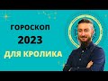 ГОРОСКОП ДЛЯ КРОЛИКА 2023 ГОД