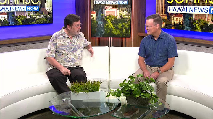 Hawaiian Air interim CEO details what's next following landmark acquisition