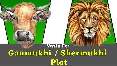 वास्तुशास्त्र में गौमुखी और शेरमुखी प्लॉट किसे कहतें हैं  ? What are Gaumukhi and Shermukhi Plots ?