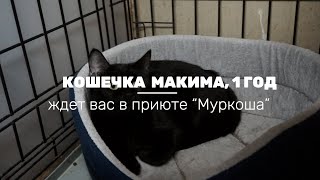 МАКИМА