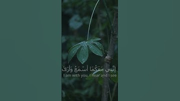 قَالَ لَا تَخَافَا ۖ   | راحة نفسية رهيبة 😍❤️ | سبحان من وهبه هذا الصوت | احدث تلاوات محمد ديبيروف