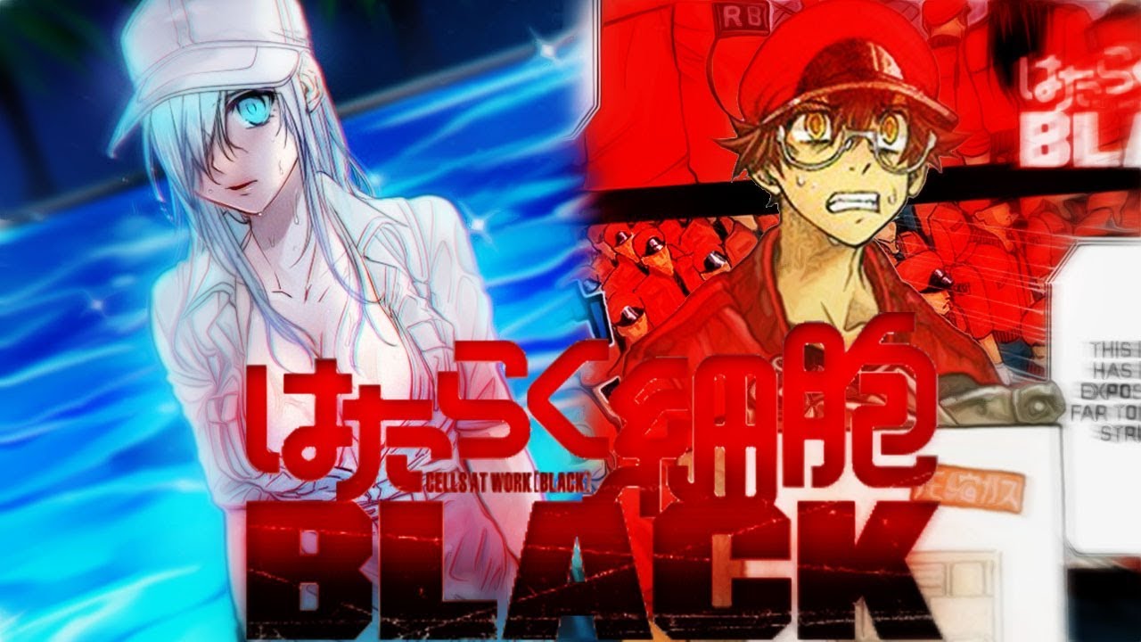El anime Hataraku Saibou Black revela un nuevo video promocional — Kudasai