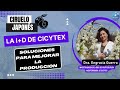 Ciruelo japons la id de cicytex para mejorar la produccin